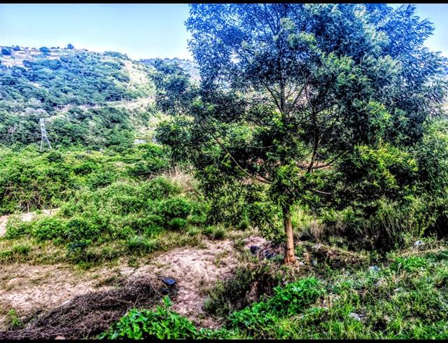 1,512M² VACANT LAND SOLD IN SHALLCROSS